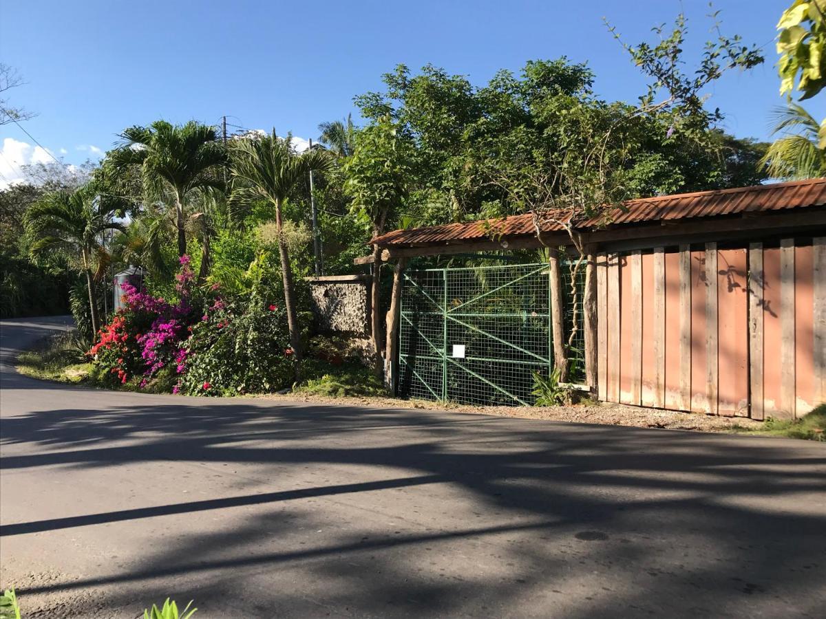 Flor De Paraiso Bungalows Montezuma Exterior photo