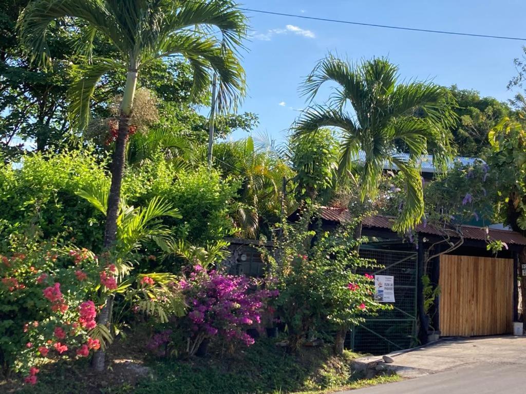 Flor De Paraiso Bungalows Montezuma Exterior photo